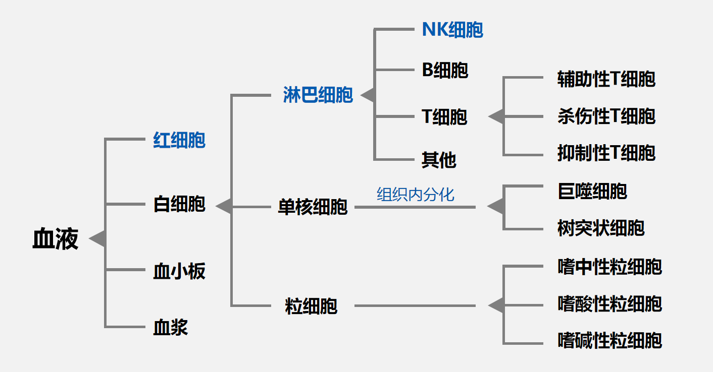 血液分化圖