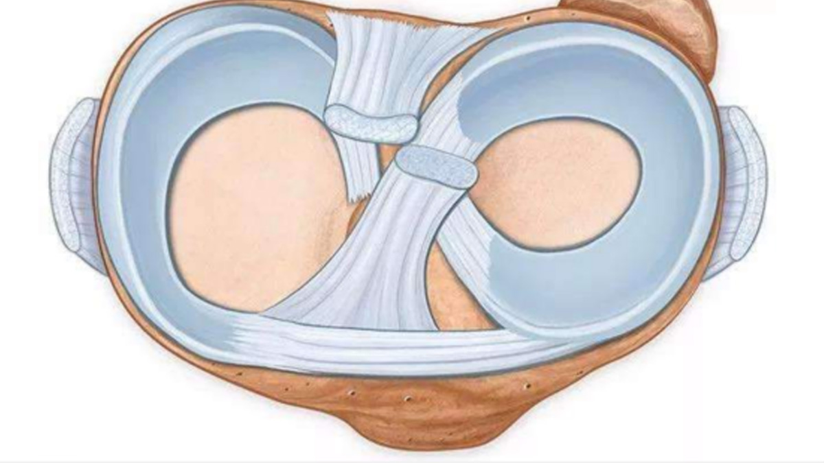 干細(xì)胞移植可以修復(fù)半月板損傷嗎？這些臨床案例數(shù)據(jù)，告訴你答案