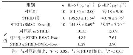 干細胞療法