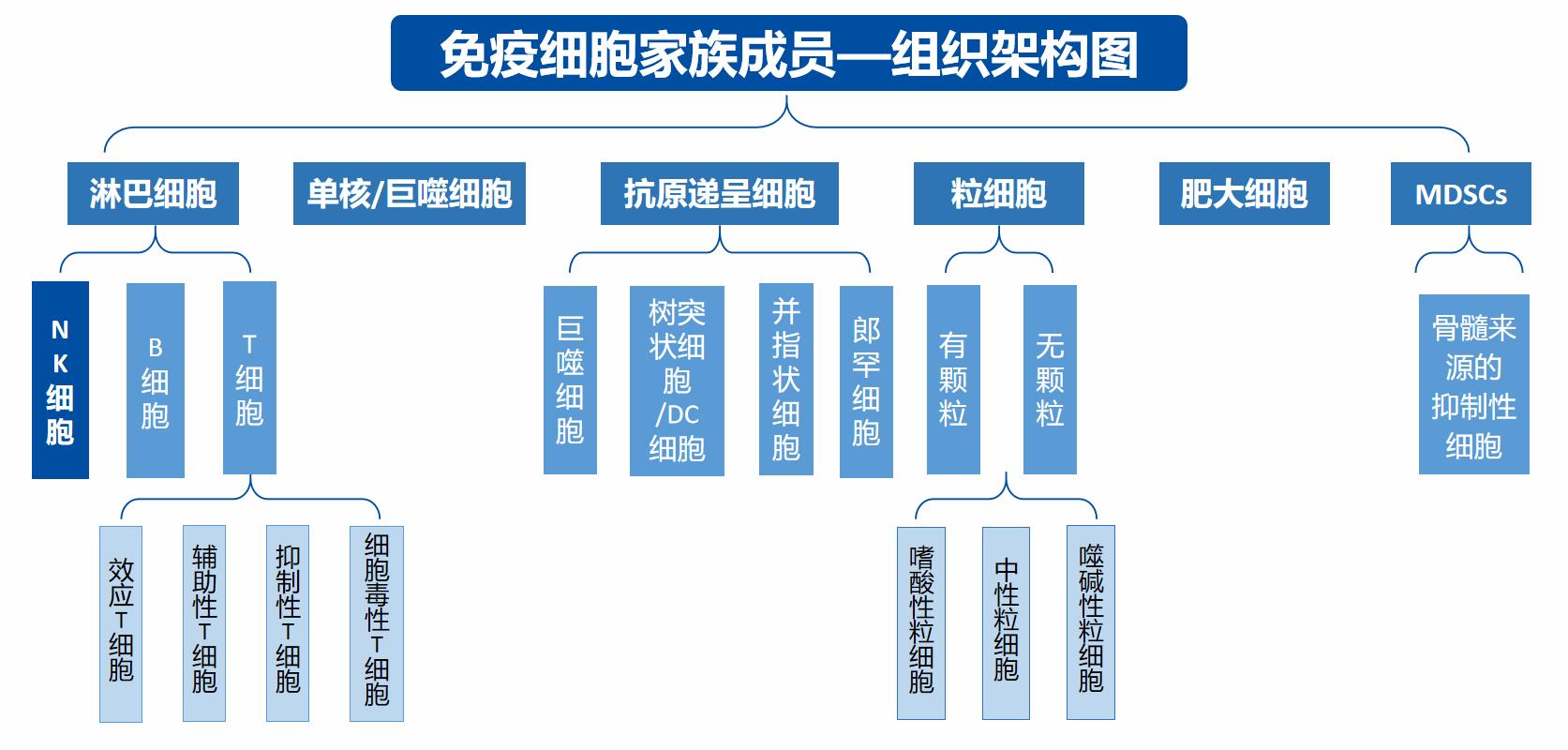 免疫細胞